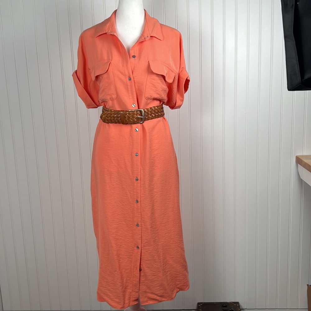Ann Taylor Factory Orange Button-Down Dress - Picture 4 of 16